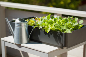 Möglichkeiten der Selbstversorgung: Balkon