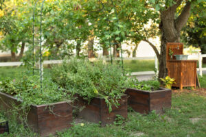 Möglichkeiten der Selbstversorgung: Schrebergarten